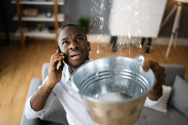 Best Local water damage restoration  in Plum Grove, TX