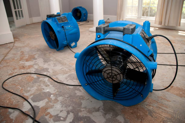 Best Commercial water damage restoration  in Plum Grove, TX