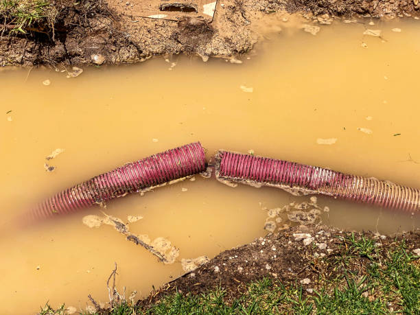 Best Water damage cleanup near me  in Plum Grove, TX